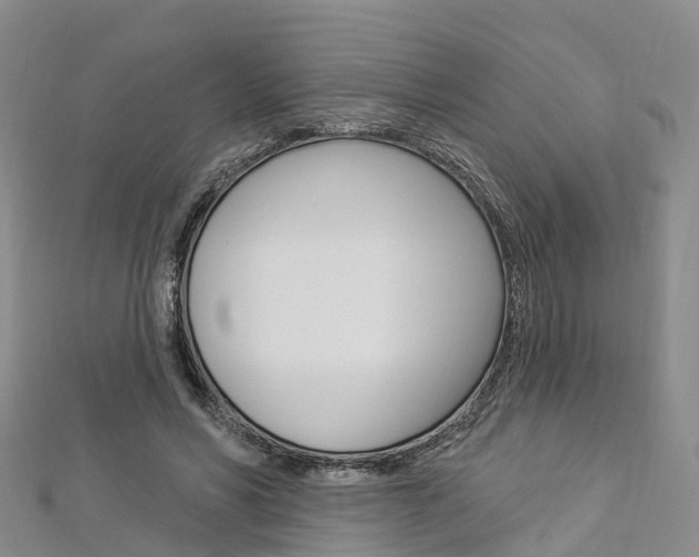 X0000112820590200908211002
