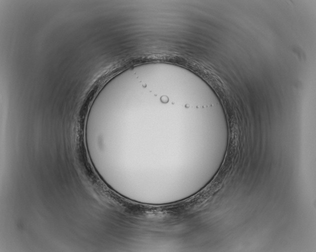 X0000112820591200908211002