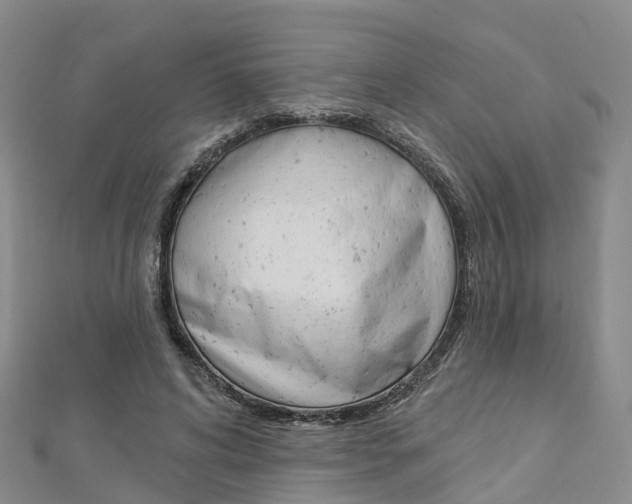 X0000112820592200908211002