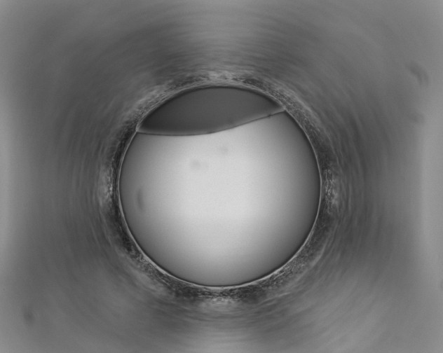 X0000112820593200908211002
