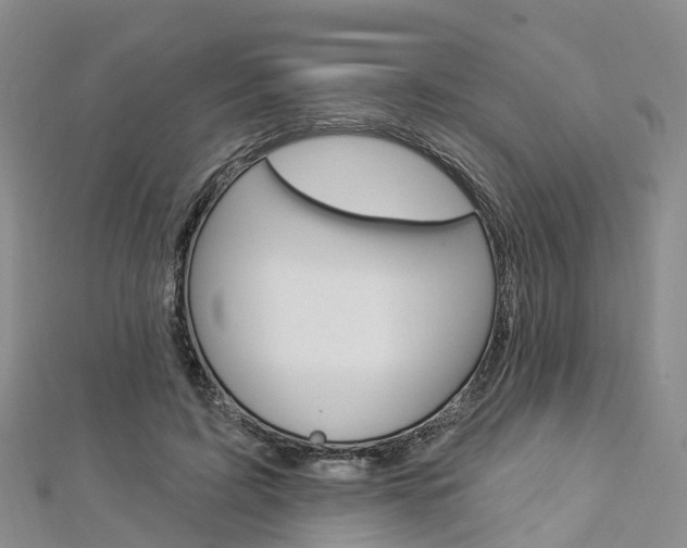 X0000112820595200908211002