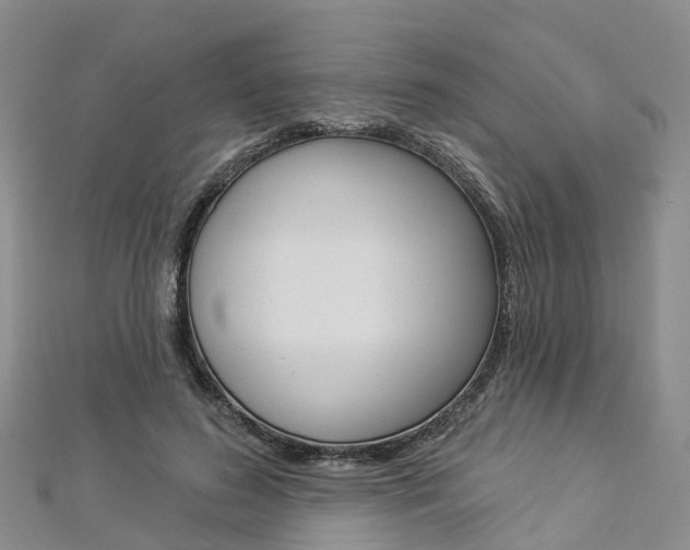 X0000112820596200908211002