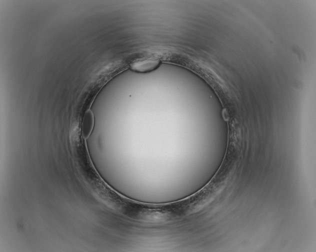 X0000112820597200908211002