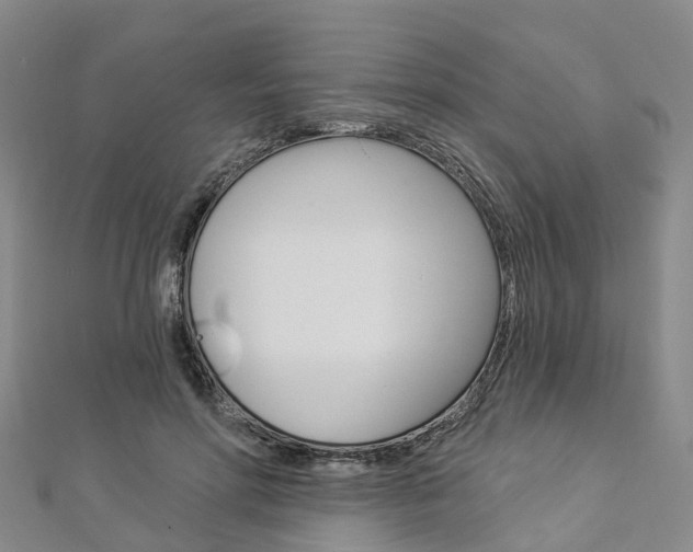 X0000112820598200908211002