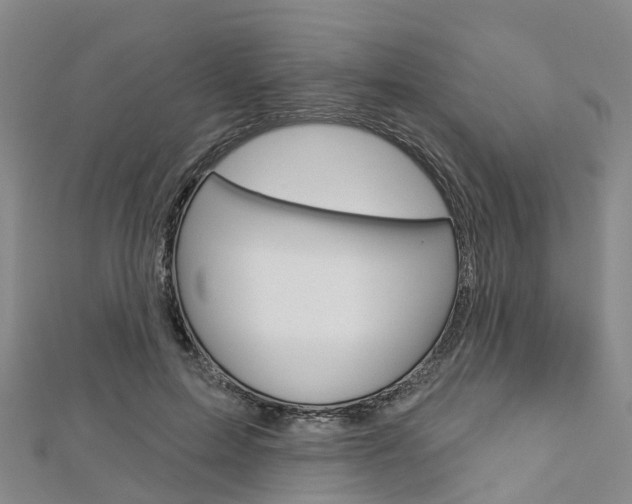 X0000112820599200908211002