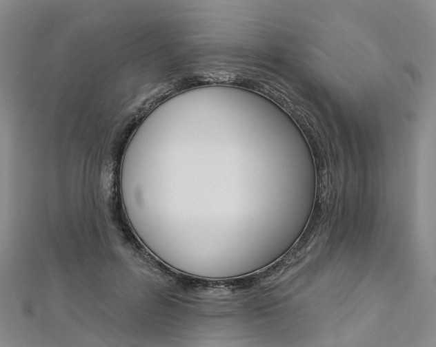 X0000112820600200908211002
