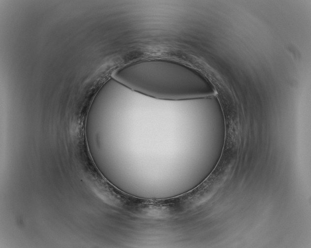 X0000112820601200908211002
