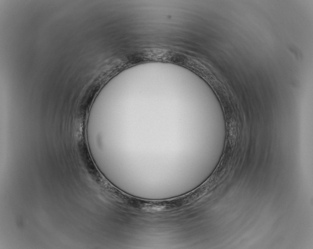 X0000112820602200908211002