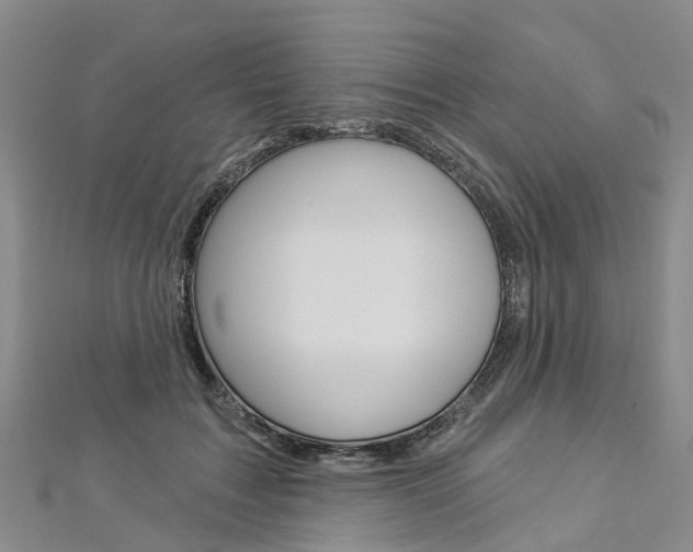 X0000112820603200908211002