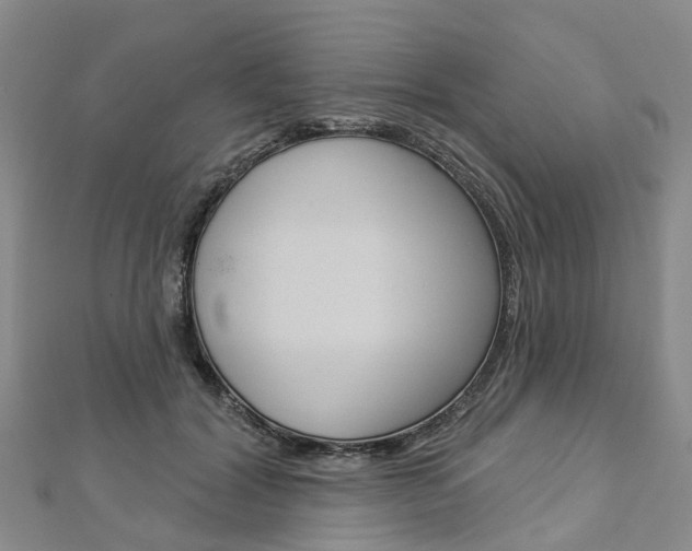 X0000112820604200908211002