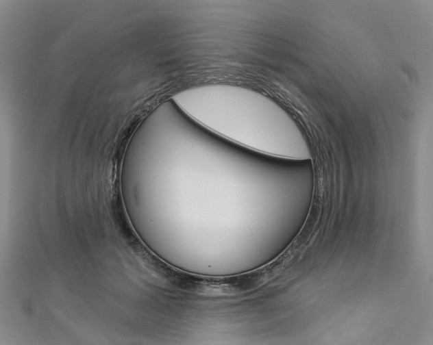X0000112820605200908211001
