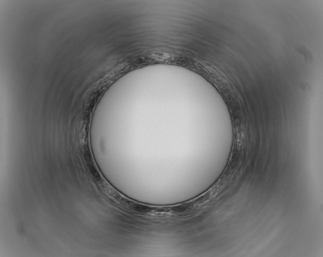 X0000112820606200908211001