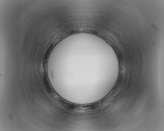 X0000112820607200908211001