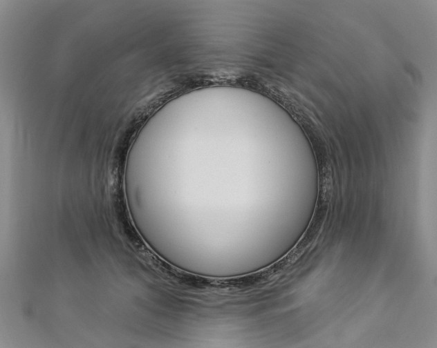 X0000112820608200908211001