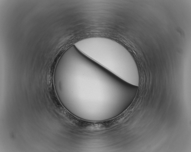 X0000112820609200908211001
