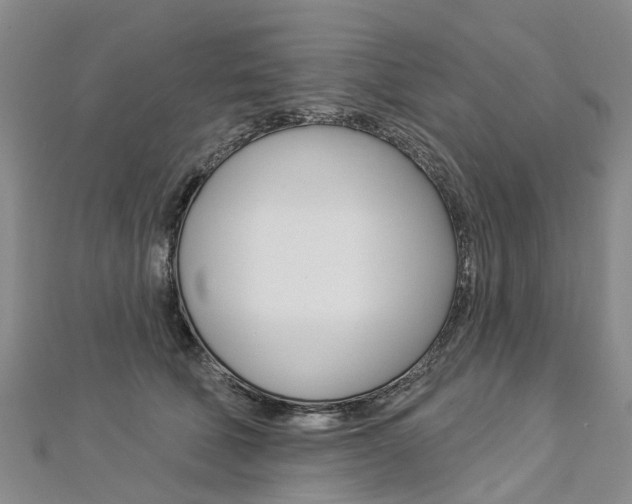X0000112820610200908211001