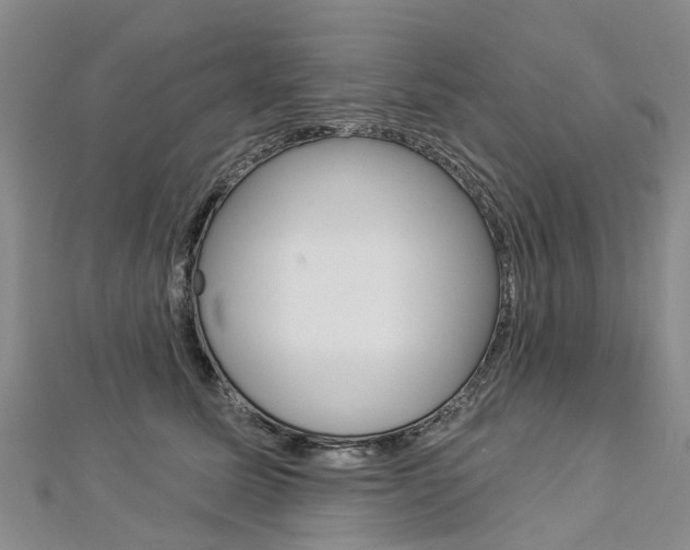 X0000112820611200908211001