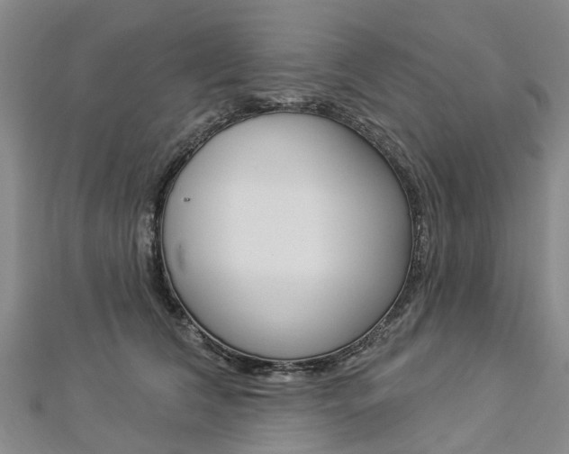 X0000112820612200908211001