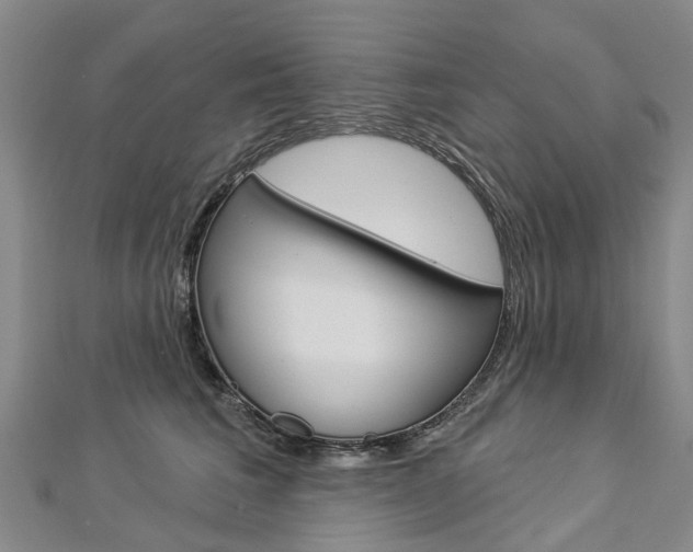 X0000112820613200908211001