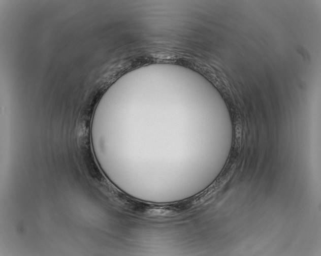 X0000112820614200908211001