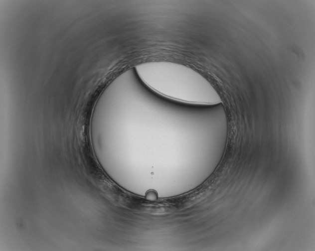 X0000112820615200908211001