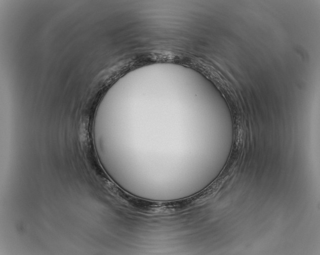 X0000112820616200908211001
