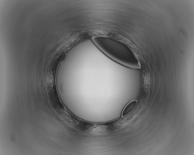X0000112820617200908211001