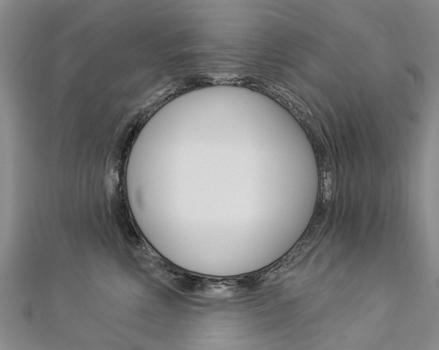 X0000112820618200908211001