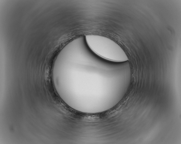 X0000112820619200908211001