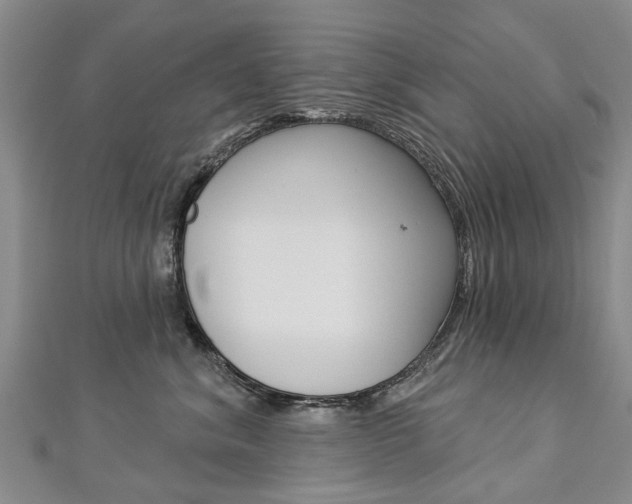 X0000112820620200908211001