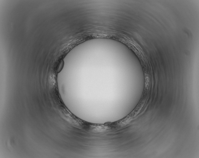 X0000112820621200908211001