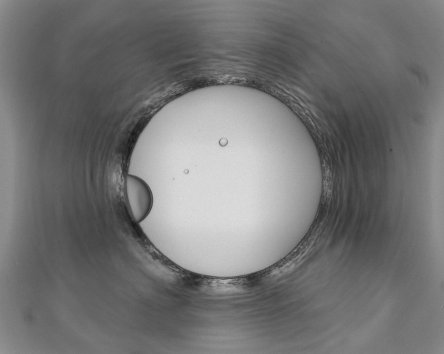 X0000112820622200908211001