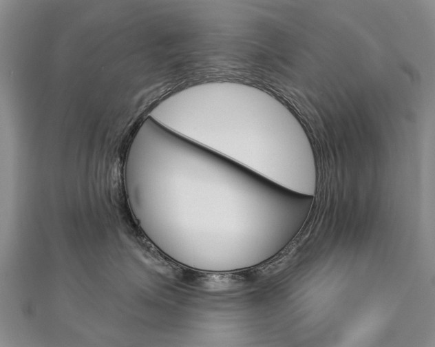 X0000112820623200908211001