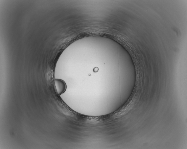 X0000112820624200908211001