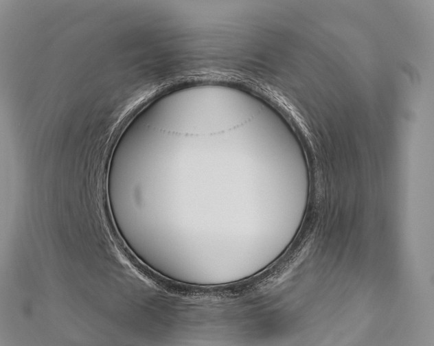 X0000112820625200908211001