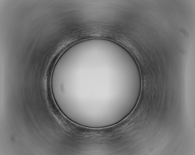 X0000112820626200908211001