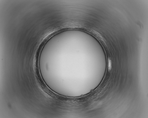 X0000112820627200908211001