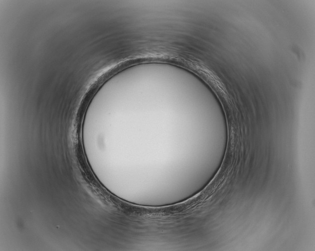 X0000112820628200908211001