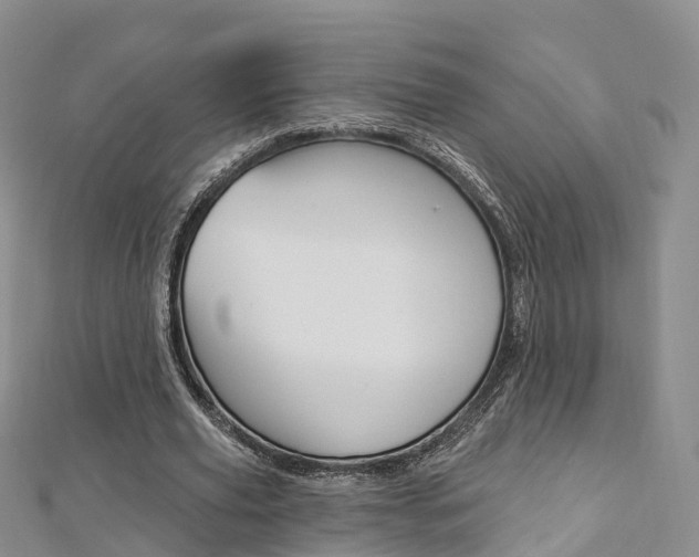 X0000112820629200908211001