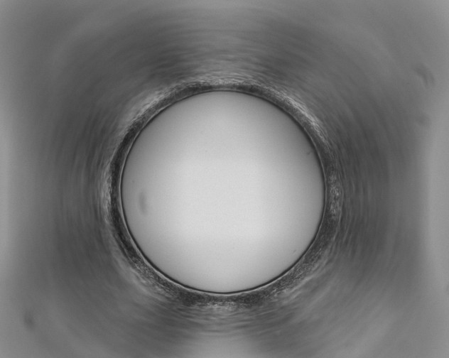 X0000112820631200908211001