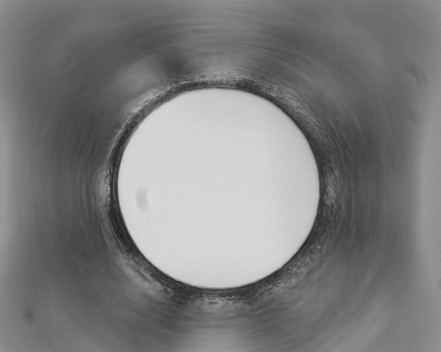 X0000112820632200908211001