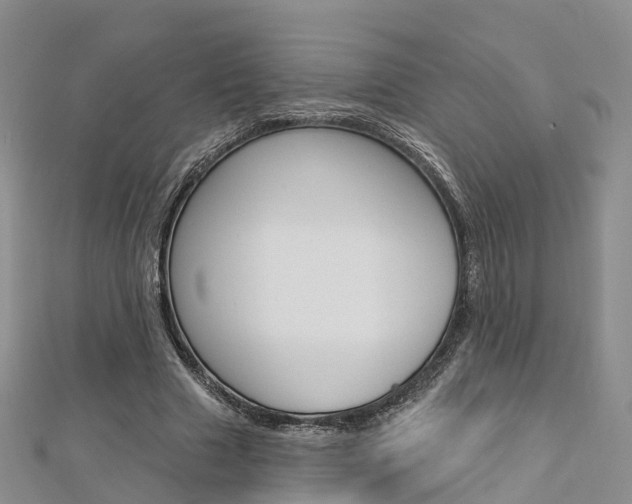 X0000112820633200908211001