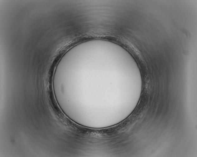 X0000112820635200908211001