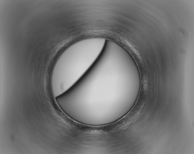 X0000112820637200908211001