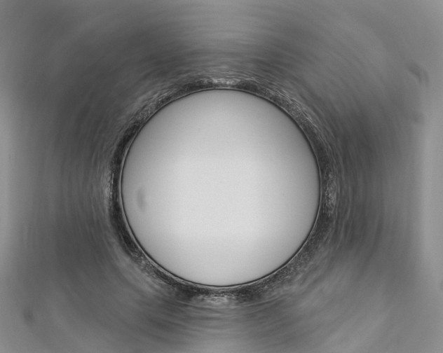 X0000112820639200908211001