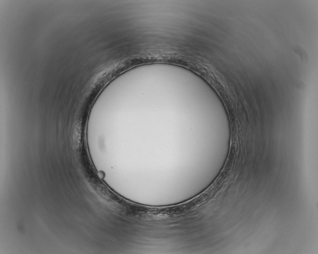 X0000112820640200908211001