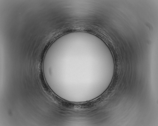 X0000112820641200908211001
