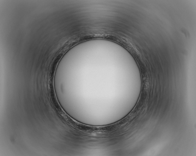 X0000112820643200908211001