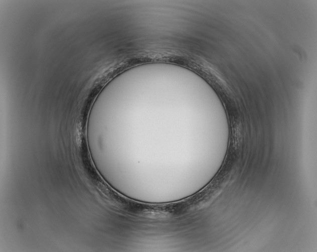 X0000112820644200908211001