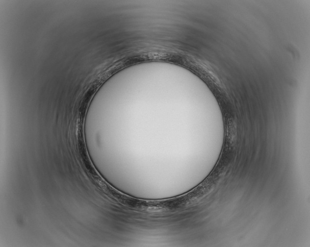 X0000112820645200908211001